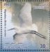 Little Egret Egretta garzetta  2023 Migratory birds Sheet