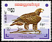 Golden Eagle Aquila chrysaetos