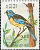 Blue-and-yellow Tanager Rauenia bonariensis