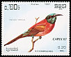 Northern Carmine Bee-eater Merops nubicus