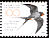 Barn Swallow Hirundo rustica  2007 Definitives 