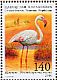 Greater Flamingo Phoenicopterus roseus  2010 Ecology of the Caspian Sea 