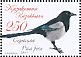 Eurasian Magpie  Pica pica