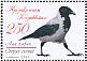 Hooded Crow  Corvus cornix