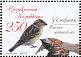 House Sparrow Passer domesticus  2011 Urban birds 