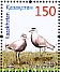 Sociable Lapwing Vanellus gregarius  2013 Steppe birds Sheet