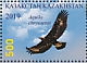 Golden Eagle Aquila chrysaetos