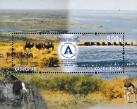 Click for enlargement