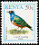 Superb Starling Lamprotornis superbus  1993 Birds 