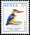 Malachite Kingfisher Corythornis cristatus