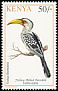 Eastern Yellow-billed Hornbill Tockus flavirostris