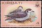 Collared Petrel Pterodroma brevipes  1982 Birds 
