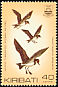 Polynesian Storm Petrel Nesofregetta fuliginosa  1982 Birds 