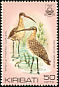 Bristle-thighed Curlew Numenius tahitiensis  1983 Birds Booklet
