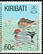 Eurasian Wigeon Mareca penelope  1993 Birds 