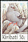 Rock Dove Columba livia  1997 Pigeons and doves 