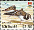 Ruddy Turnstone Arenaria interpres  2004 BirdLife International 