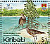 Bristle-thighed Curlew Numenius tahitiensis  2004 BirdLife International Sheet