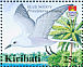 Blue Noddy Anous ceruleus  2005 BirdLife International Sheet