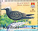 Black Noddy Anous minutus  2005 BirdLife International Sheet