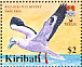 Red-footed Booby Sula sula  2005 BirdLife International Sheet