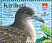 Wedge-tailed Shearwater Ardenna pacifica  2005 BirdLife International Sheet