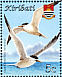 Greater Crested Tern Thalasseus bergii  2008 Birds Sheet