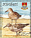 Pectoral Sandpiper Calidris melanotos  2008 Birds Sheet