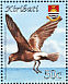 Band-rumped Storm Petrel Hydrobates castro  2008 Birds Sheet