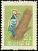White-backed Woodpecker Dendrocopos leucotos  1961 Birds 