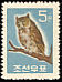 Oriental Scops Owl Otus sunia  1961 Birds 