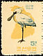 Black-faced Spoonbill Platalea minor  1962 Birds 
