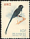 Japanese Paradise Flycatcher Terpsiphone atrocaudata  1962 Birds 