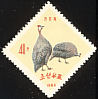 Helmeted Guineafowl Numida meleagris