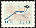 Azure-winged Magpie Cyanopica cyanus  1965 Korean birds 