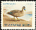 Eastern Spot-billed Duck Anas zonorhyncha  1965 Korean ducks 