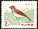 Common Rosefinch Carpodacus erythrinus  1966 Korean birds 