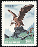 Cinereous Vulture Aegypius monachus  1967 Birds of prey 