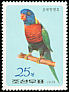 Coconut Lorikeet Trichoglossus haematodus  1975 Parrots 