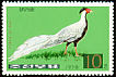 Silver Pheasant Lophura nycthemera  1976 Pheasants p 13