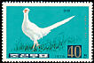 Common Pheasant Phasianus colchicus  1976 Pheasants p 13