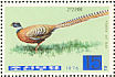 Reeves's Pheasant Syrmaticus reevesii