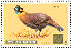 Temminck's Tragopan Tragopan temminckii  1976 Pheasants Sheet, p 13