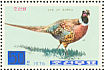 Common Pheasant Phasianus colchicus  1976 Pheasants Sheet, p 13