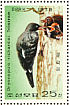White-bellied Woodpecker Dryocopus javensis  1978 White-bellied Woodpecker Sheet