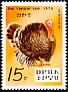 Wild Turkey Meleagris gallopavo  1979 Zoo animals 