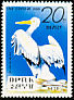 Dalmatian Pelican Pelecanus crispus