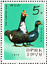 Muscovy Duck Cairina moschata  1979 Zoo animals Sheet