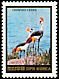 Grey Crowned Crane Balearica regulorum  1984 Birds 