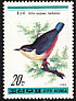 Eurasian Nuthatch Sitta europaea  1988 Birds 